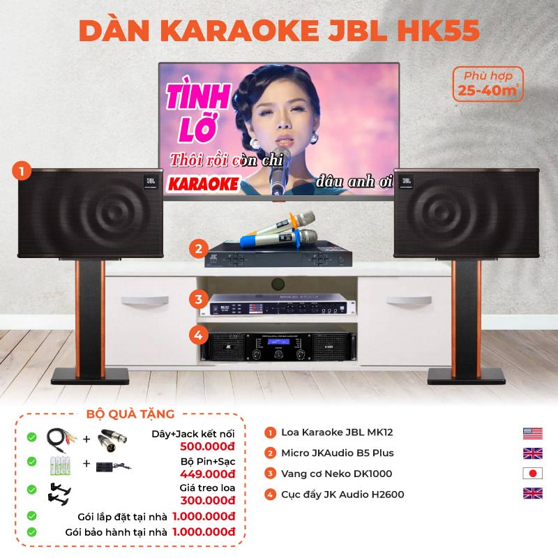 Dan karaoke JBL HK55