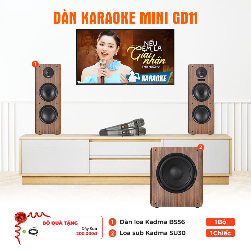 Dàn karaoke mini GD11