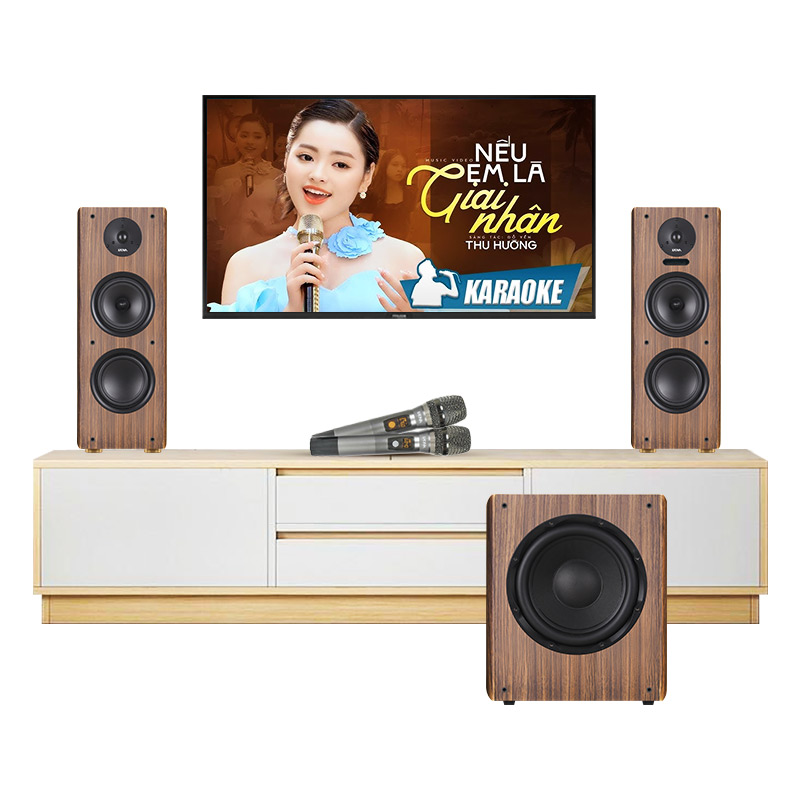 Dàn karaoke mini GD11 (Kadma BS56, Sub Su30)