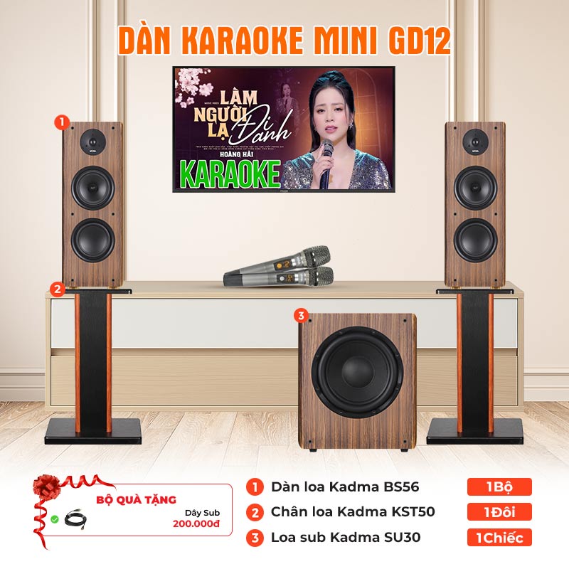 Dàn Karaoke Mini GD12