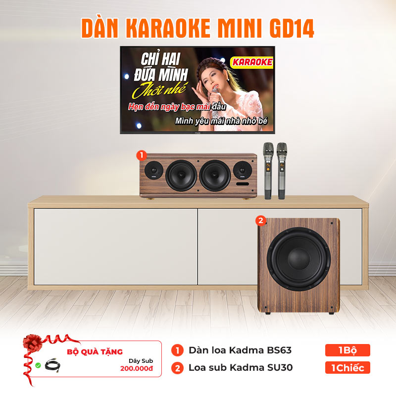 Dàn karaoke mini GD14