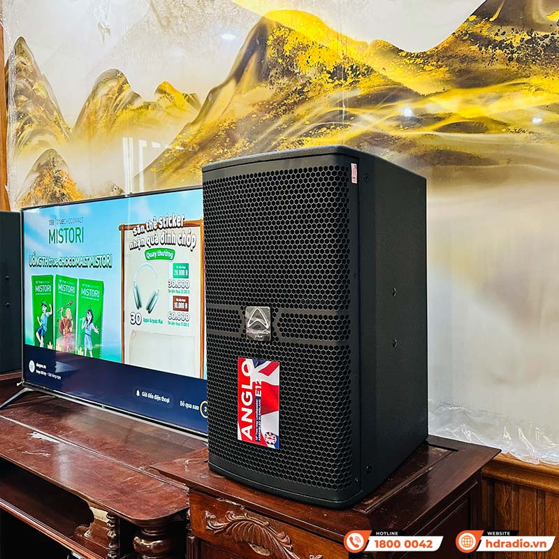 Dàn Karaoke Cao Cấp HDR51 (Whafedale Anglo E12 , Công suất, Jkaudio X6000 Plus, K800, Sub)-5