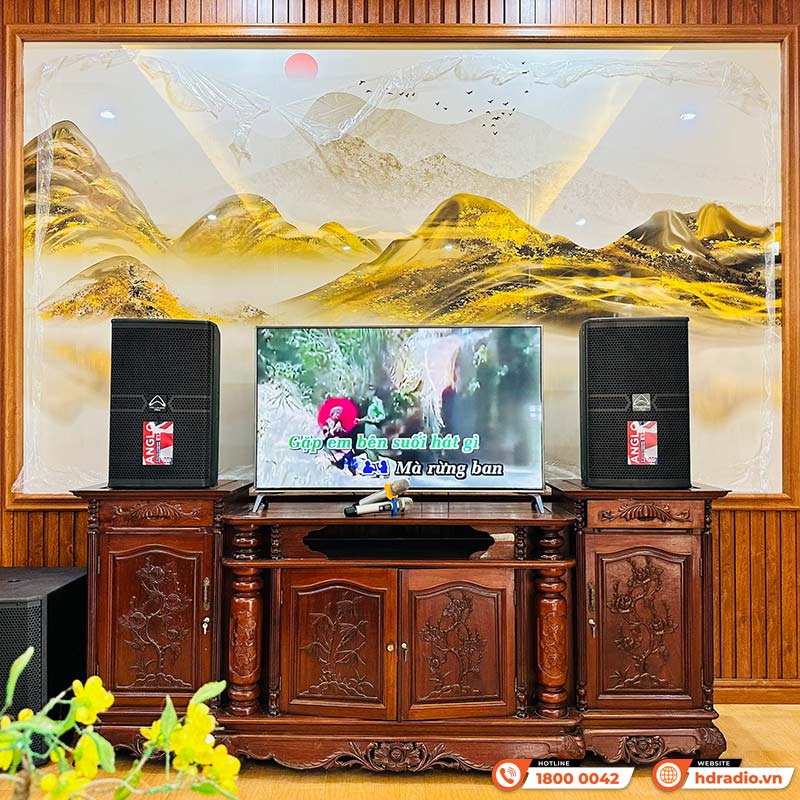 Dàn Karaoke Cao Cấp HDR51 (Whafedale Anglo E12 , Công suất, Jkaudio X6000 Plus, K800, Sub)-4