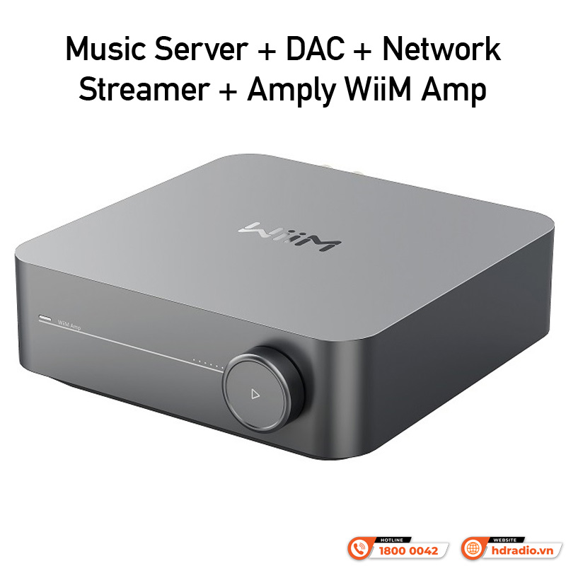 Music Server + DAC + Network Streamer + Amply WiiM Amp