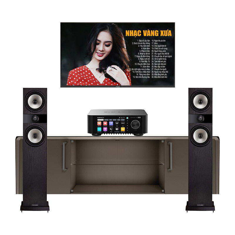 Dàn Nghe nhạc Eversolo NH51 (Fyne Audio F303i, Eversolo Play CD Edition)