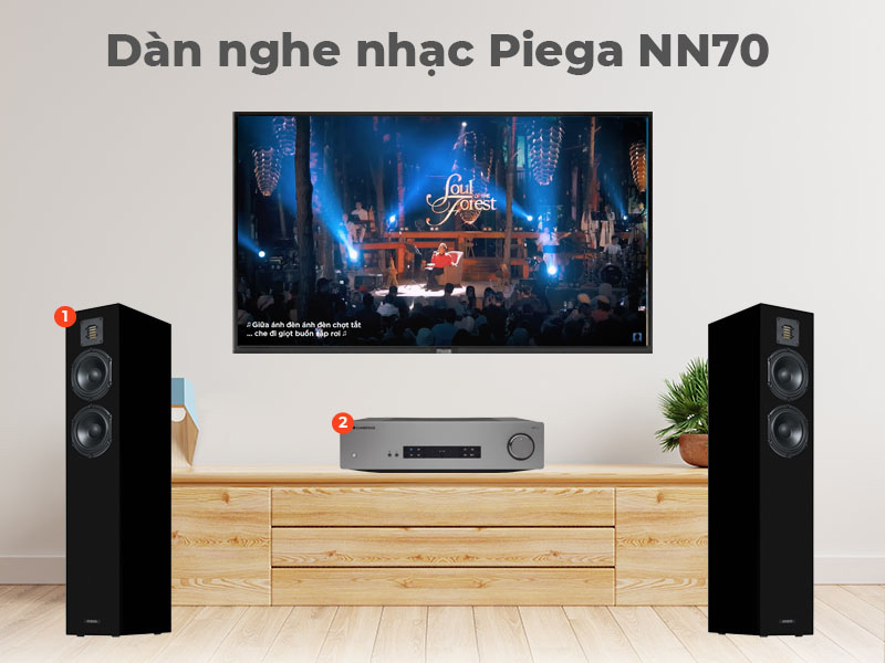 Dàn nghe nhạc Piega NN70