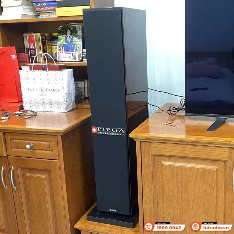 Dàn nghe nhạc Denon NN73 (Piega Classic 5.0, Denon-1700NE)-2