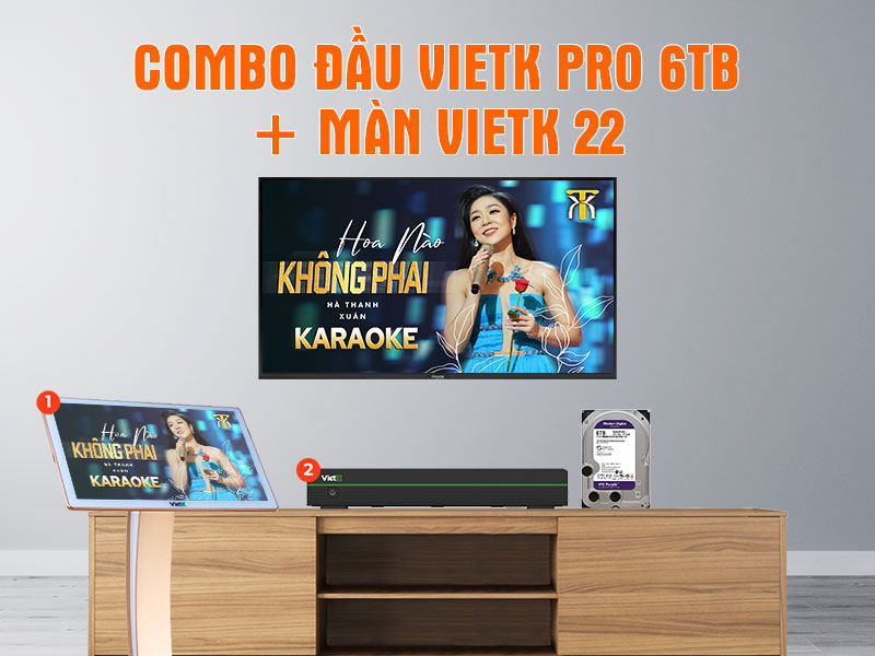 Combo đầu VietK Pro 6TB + Màn VietK 22