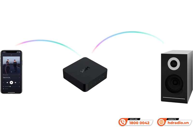 Music Streamer WiiM Pro