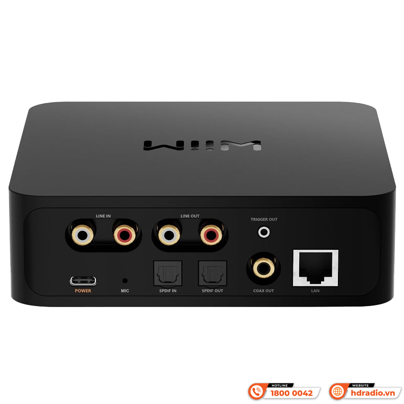 Music Streamer WiiM Pro