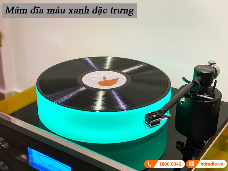 mam dia mau xanh dac trung