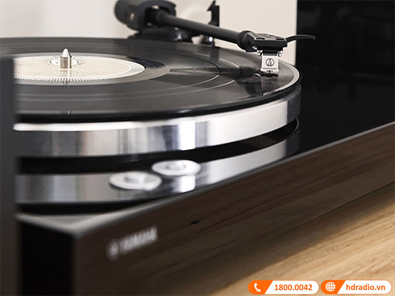 thiết kế chống rung hiệu quả