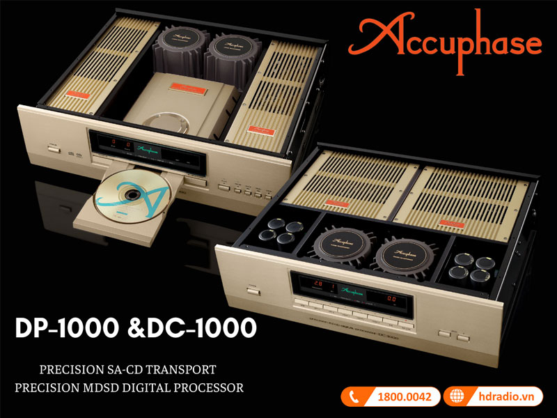 DP-DC 1000