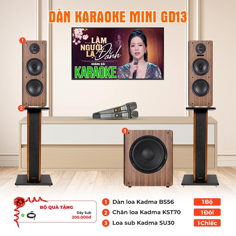 Dàn karaoke mini GD13