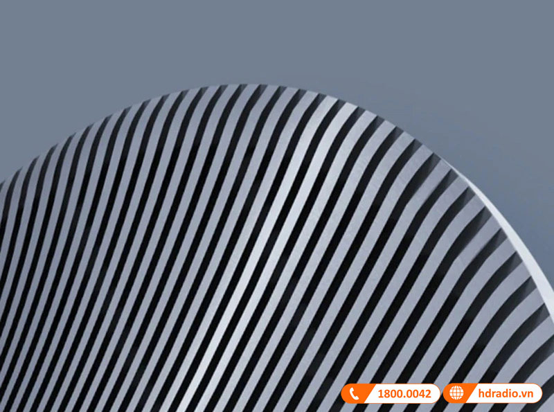 Loa B&O Celestial BOC66