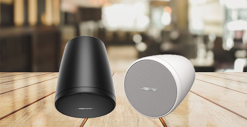 Thiết kế Loa âm trần Bose Designmax DM10P-SUB