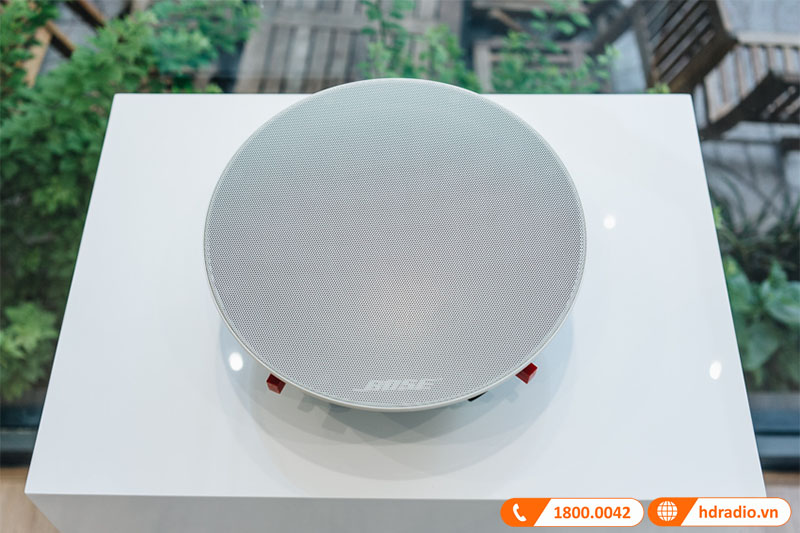 Loa Bose Virtually Invisible 791