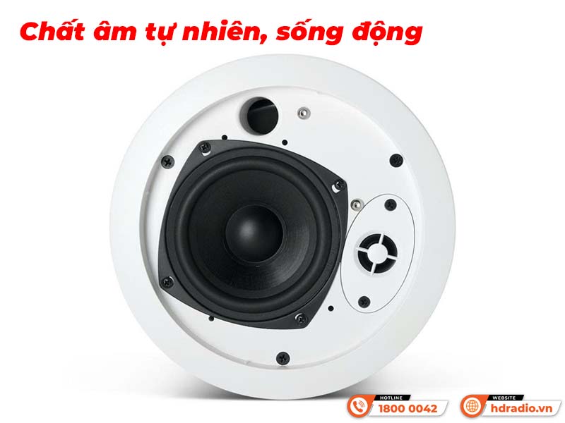 Loa JBL Control 24CT Micro Plus