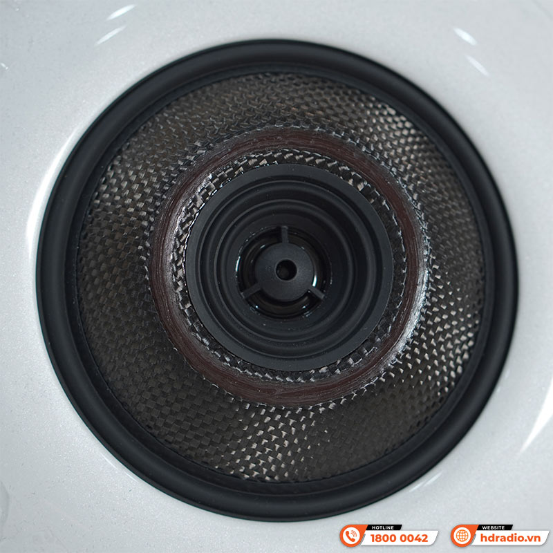 Loa Cabasse The Pearl, Công Suất 1600W, Kết nối đa phòng, Wifi, Optical, RCA, USB-6