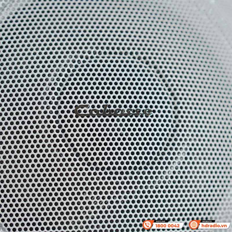 Loa Cabasse The Pearl, Công Suất 1600W, Kết nối đa phòng, Wifi, Optical, RCA, USB-5