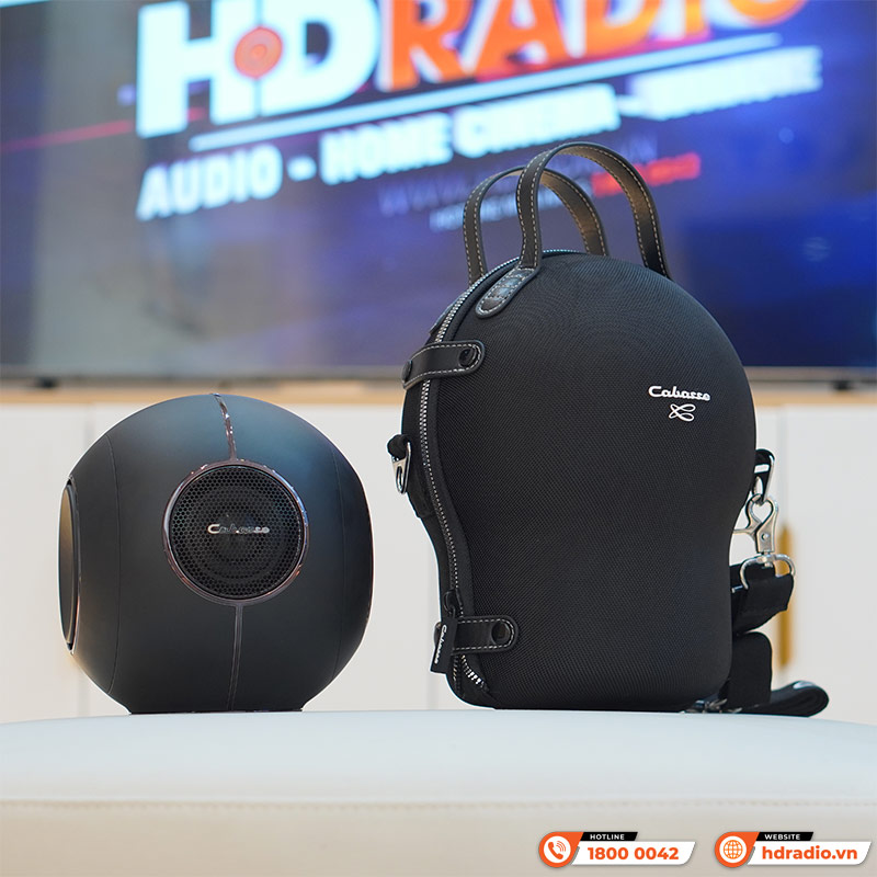 Loa Cabasse The Pearl Myuki, Pin 12 giờ, Công Suất 200W, WiFi, Bluetooth, AUX, Optical-2