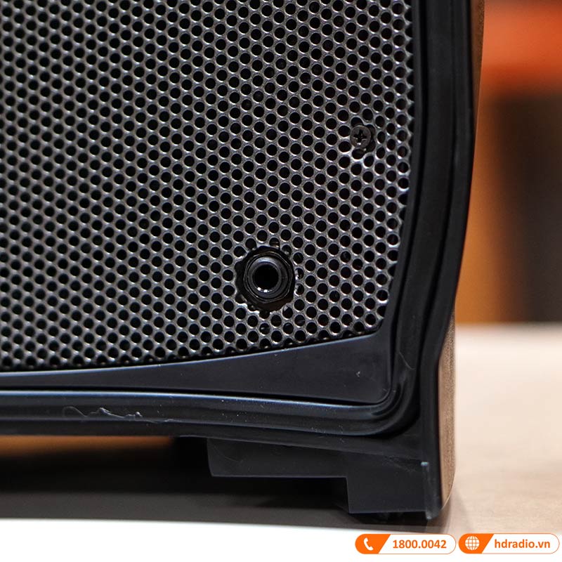 Loa Fender Passport Venue Series 2, Bluetooth, Mixer 10 Kênh, Công Suất 600W (All in One)-8