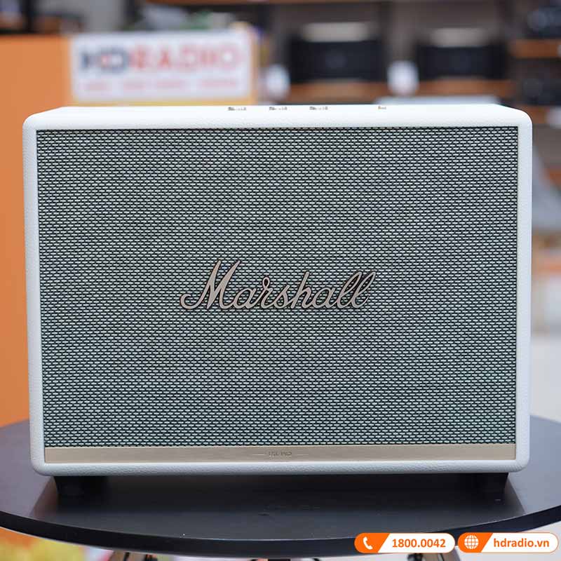 anh thuc te mat truoc Loa Marshall Woburn 2