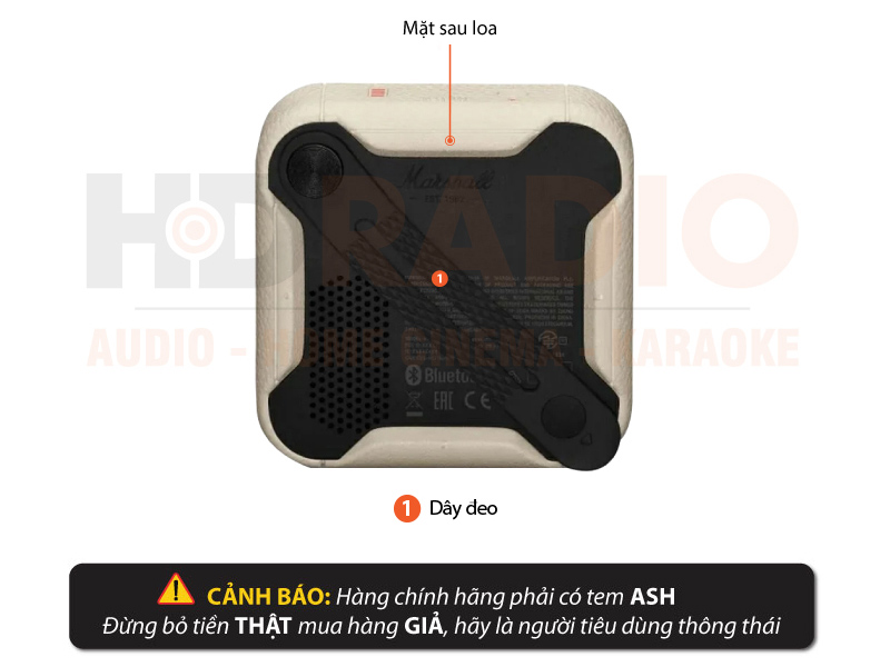 chu thich loa marshall willen 2 chinh hang ash moi 2