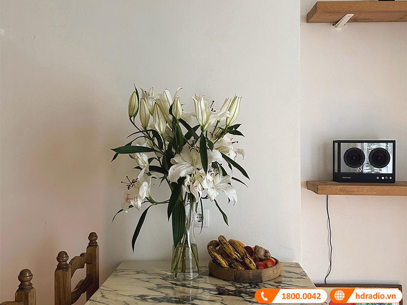 Loa Small Transparent Speaker