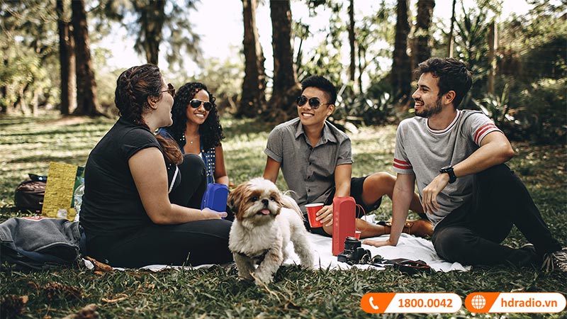 Loa Wharfedale Exson S