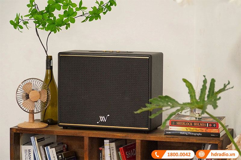 loa Alpha Works Classic V100