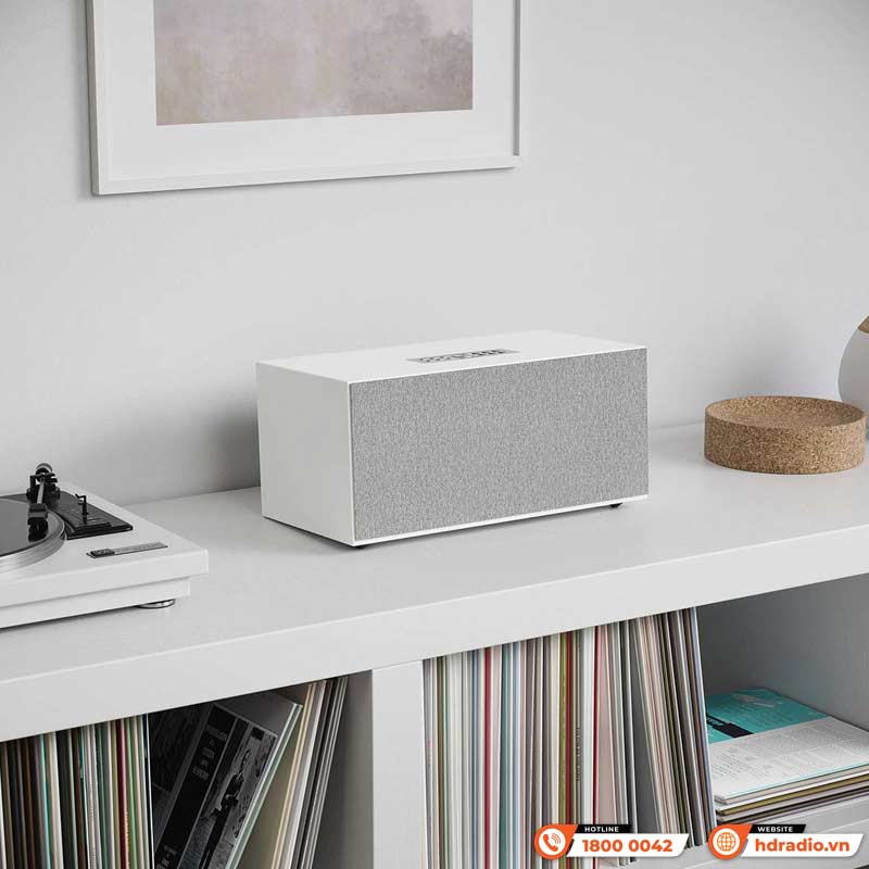 Đa phòng Loa AudioPro C20