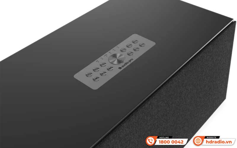 Điều khiển Loa AudioPro C20