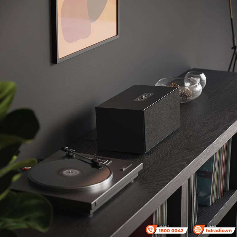 Định dạng âm thanh Loa AudioPro C20