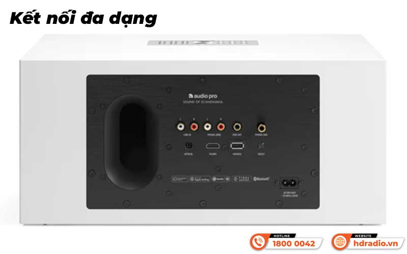 Kết nối Loa AudioPro C20