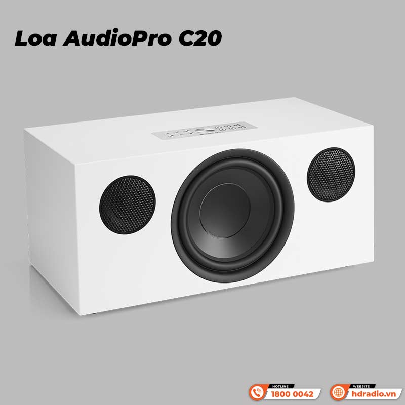 Loa AudioPro C20