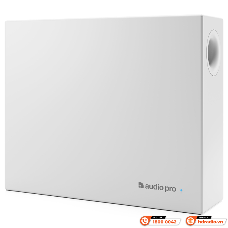 Loa AudioPro SUB-1