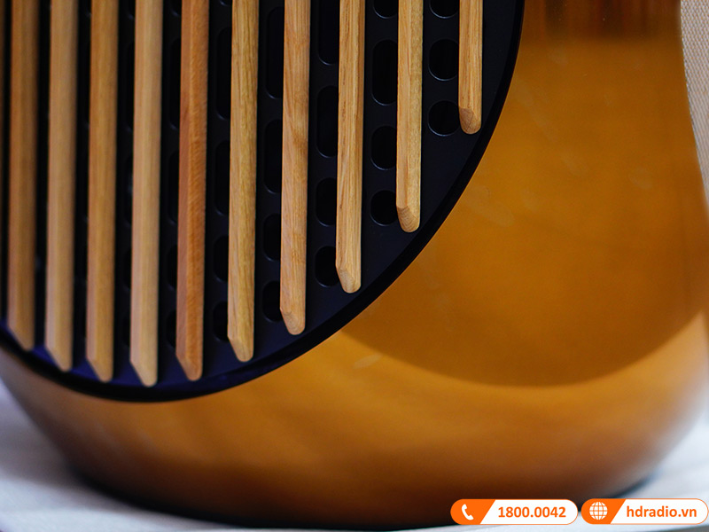 ảnh thực tế Loa B&O Beolab 50