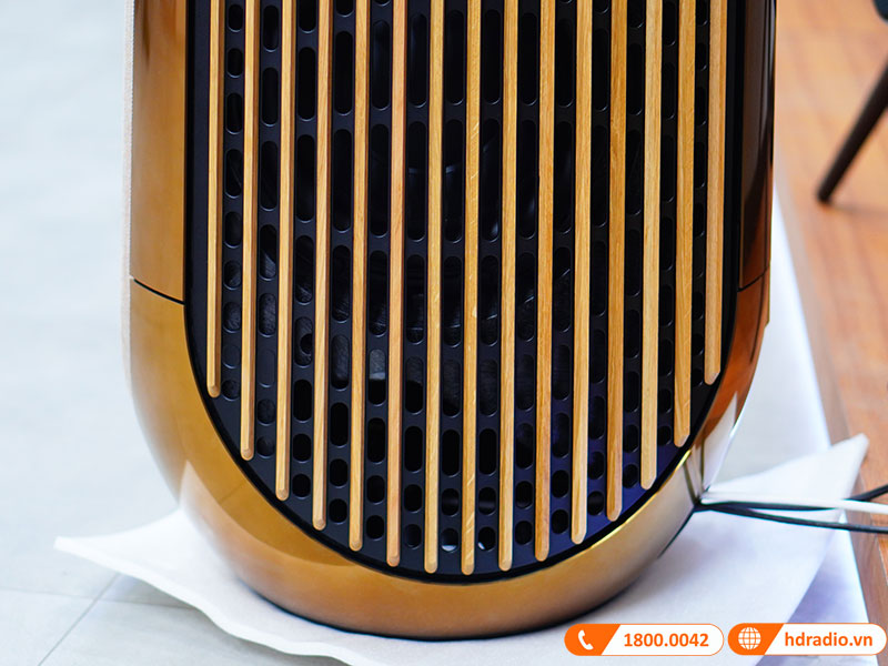 ảnh thực tế Loa B&O Beolab 50