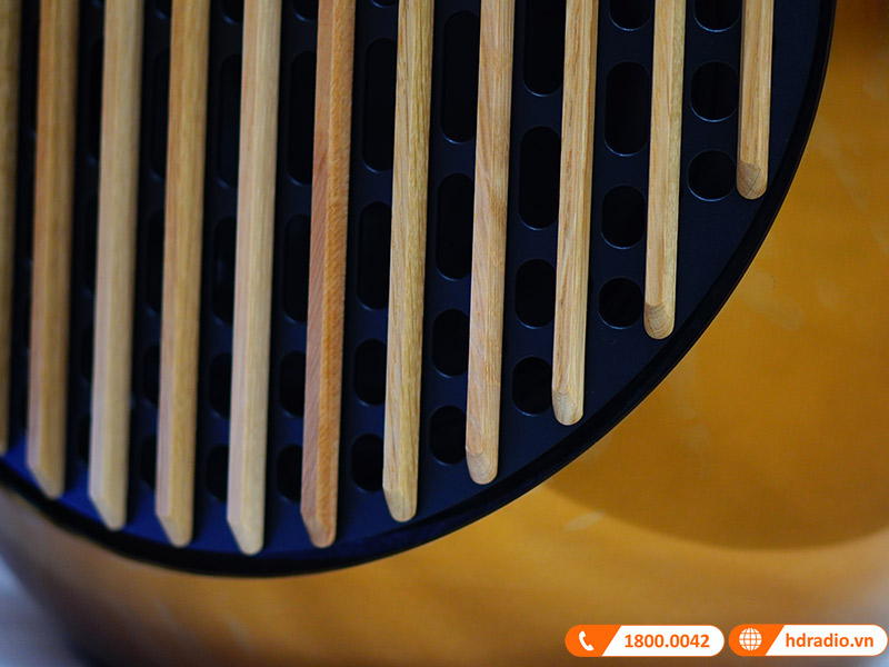 ảnh thực tế Loa B&O Beolab 50