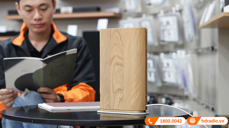 Loa B&O Beosound Emerge