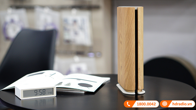 loa B&O Beosound Emerge 