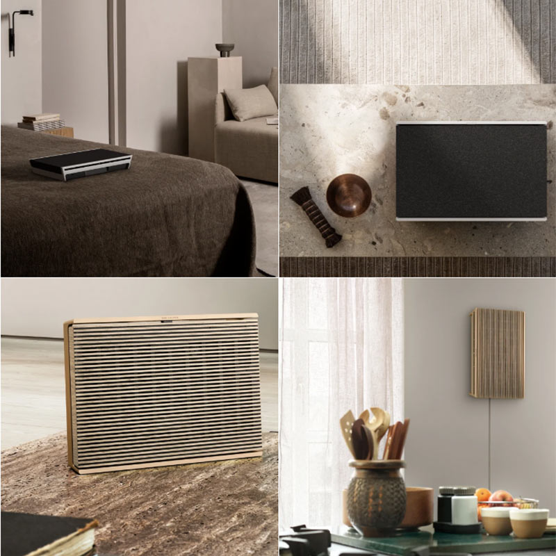 Loa B&O Beosound Level