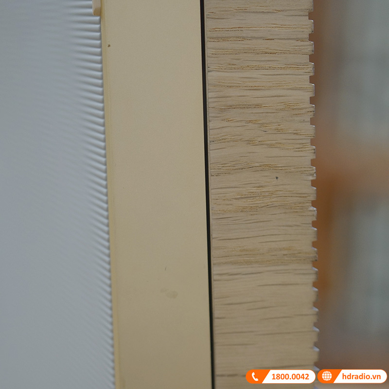 Loa B&O Beosound Level Chính Hãng, Pin 16h, Công Suất 105W, Chống nước IP54-15