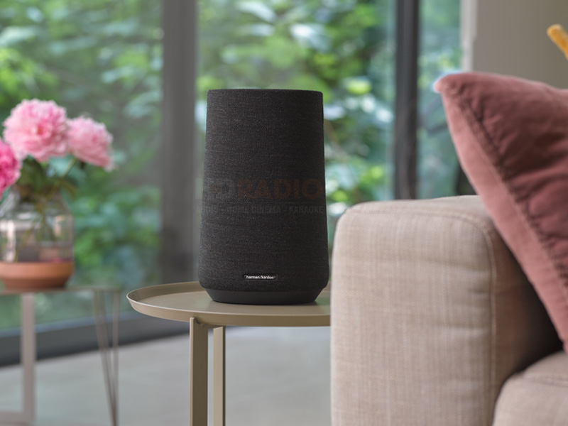 loa Harman Kardon Citation 100 có tính năng đa phòng