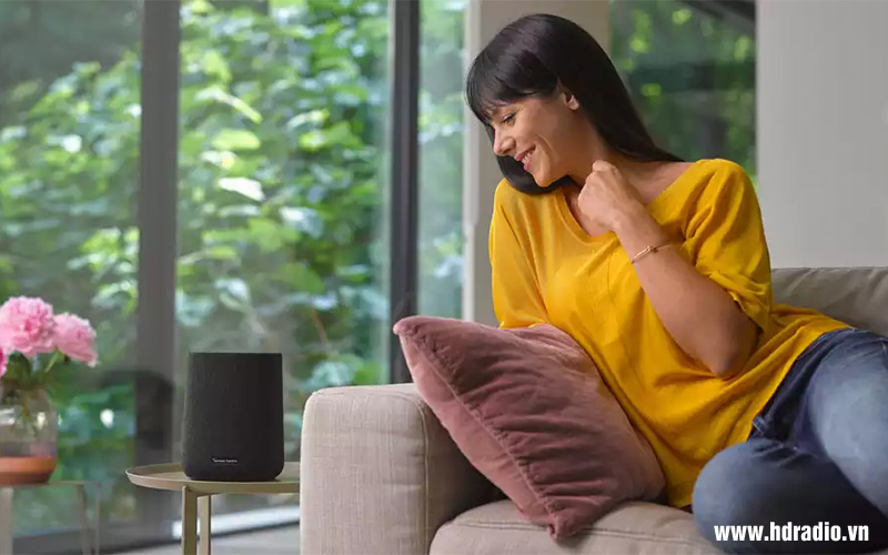 Loa Harman Kardon Citation One