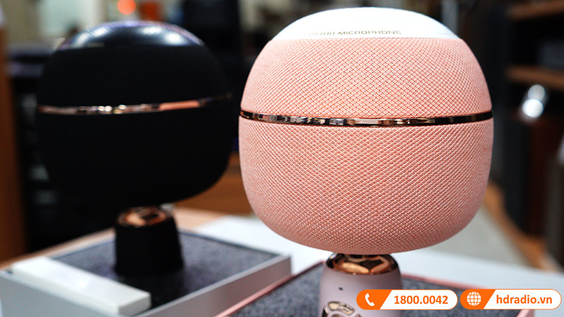 Loa bluetooth kèm Micro Monster Karaoke