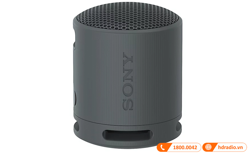 Loa Sony SRS-XB100 