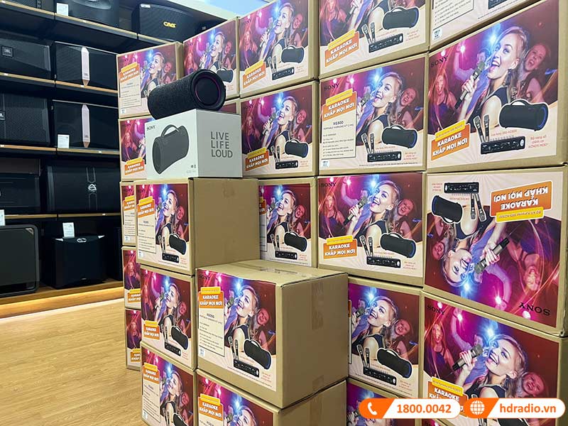 Loa Sony SRS-XG300 chính hãng
