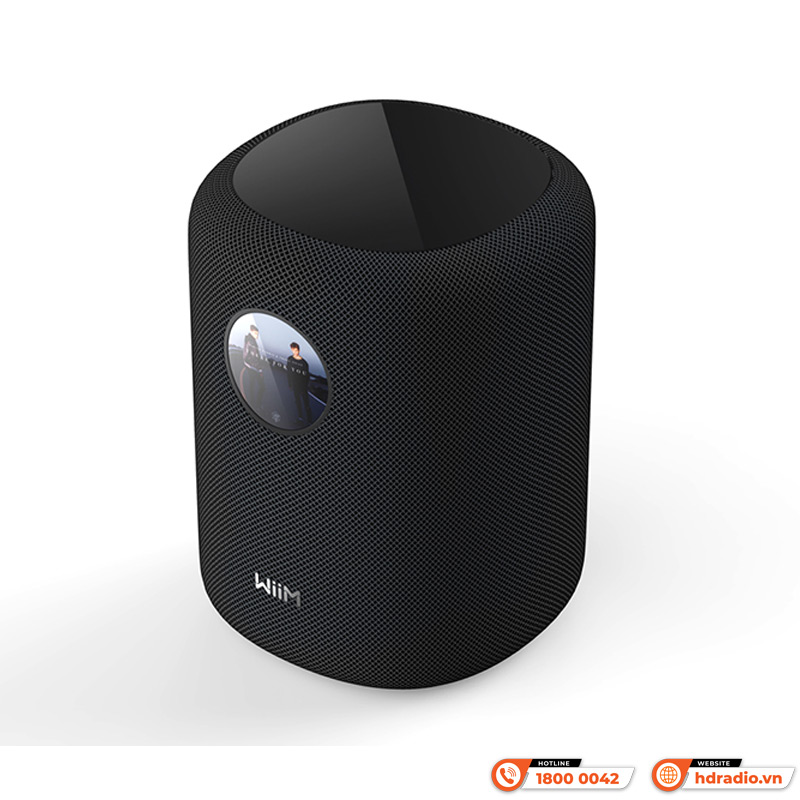 Loa Wiim Sound